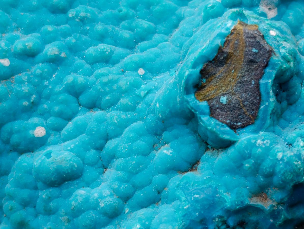 Natural Cabinet Size Botryoidal Chrysocolla Specimen on Dolomite x 1 From Kulukuluku, Congo