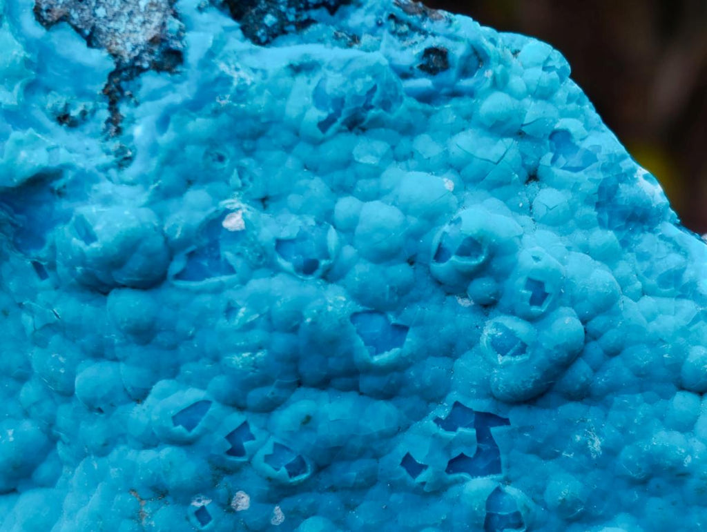 Natural Cabinet Size Botryoidal Chrysocolla Specimen on Dolomite x 1 From Kulukuluku, Congo