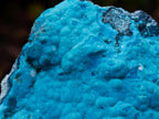 Natural Cabinet Size Botryoidal Chrysocolla Specimen on Dolomite x 1 From Kulukuluku, Congo