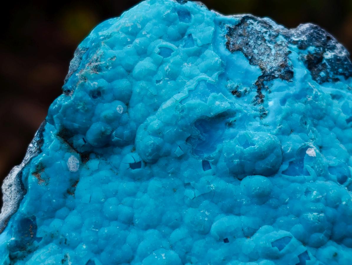 Natural Cabinet Size Botryoidal Chrysocolla Specimen on Dolomite x 1 From Kulukuluku, Congo