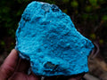 Natural Cabinet Size Botryoidal Chrysocolla Specimen on Dolomite x 1 From Kulukuluku, Congo