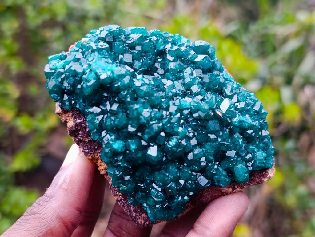 Natural Cabinet Size Dioptase Specimen on a Dolomite Matrix x 1 From Mashamba East, Congo