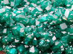 Natural Cabinet Size Dioptase Specimen on a Dolomite Matrix x 1 From Mashamba East, Congo