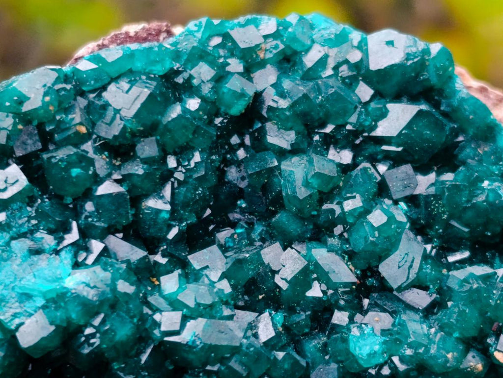 Natural Cabinet Size Dioptase Specimen on a Dolomite Matrix x 1 From Mashamba East, Congo