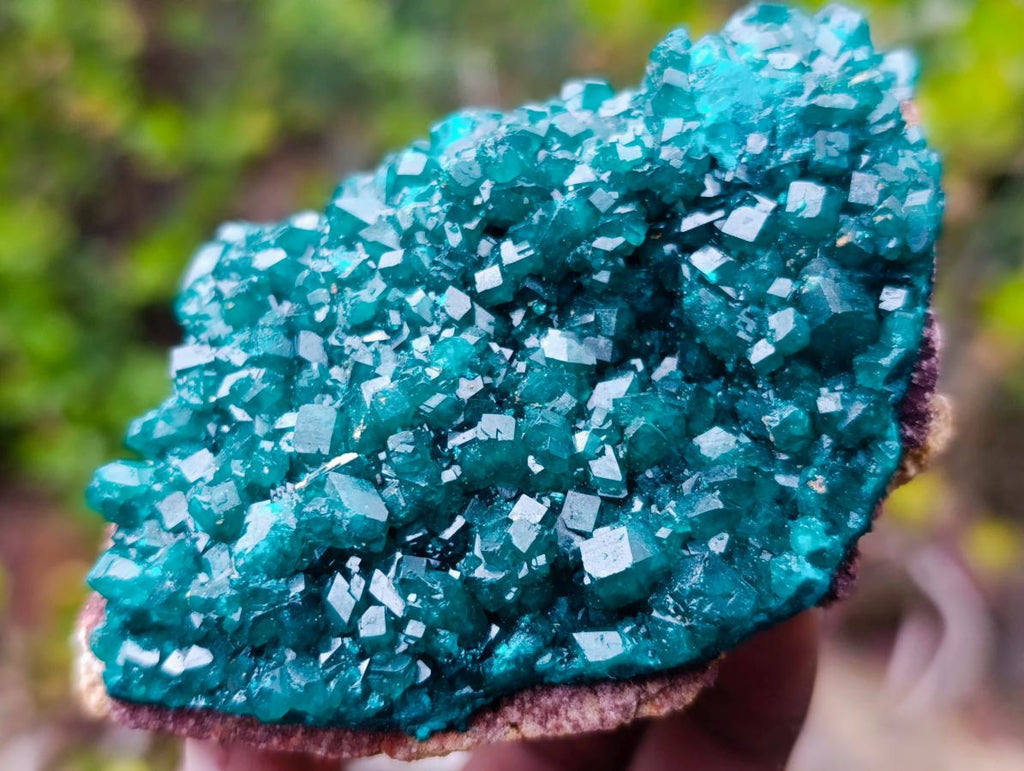 Natural Cabinet Size Dioptase Specimen on a Dolomite Matrix x 1 From Mashamba East, Congo