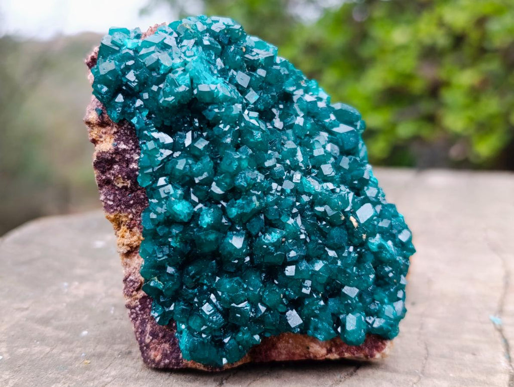 Natural Cabinet Size Dioptase Specimen on a Dolomite Matrix x 1 From Mashamba East, Congo