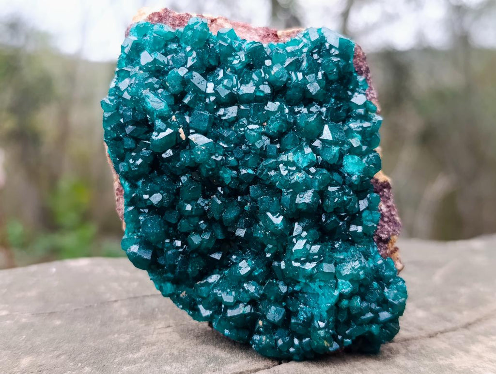 Natural Cabinet Size Dioptase Specimen on a Dolomite Matrix x 1 From Mashamba East, Congo