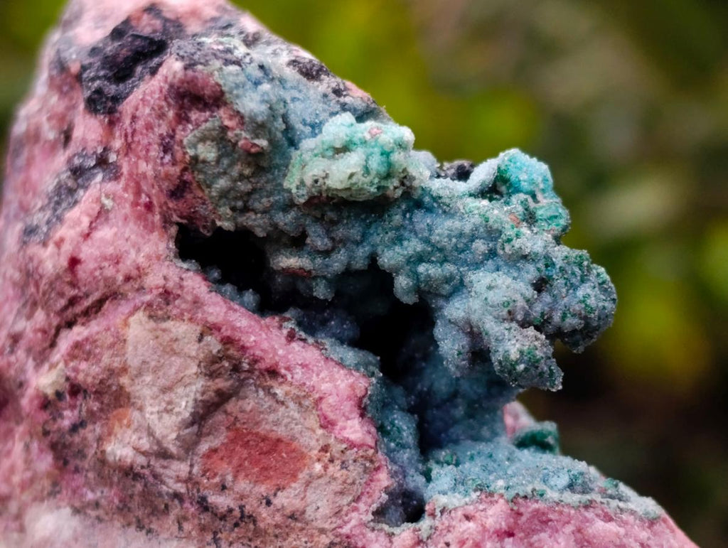 Natural Drusy Coated Chrysocolla and Salrose on Dolomite x 1 From Kakanda, Congo