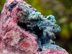 Natural Drusy Coated Chrysocolla and Salrose on Dolomite x 1 From Kakanda, Congo