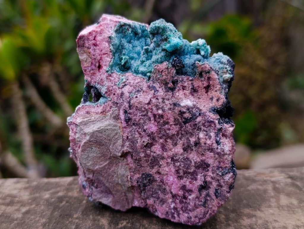 Natural Drusy Coated Chrysocolla and Salrose on Dolomite x 1 From Kakanda, Congo