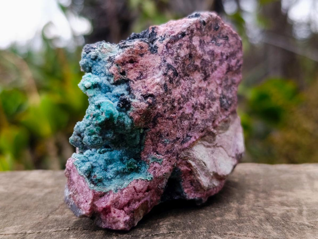 Natural Drusy Coated Chrysocolla and Salrose on Dolomite x 1 From Kakanda, Congo