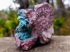 Natural Drusy Coated Chrysocolla and Salrose on Dolomite x 1 From Kakanda, Congo
