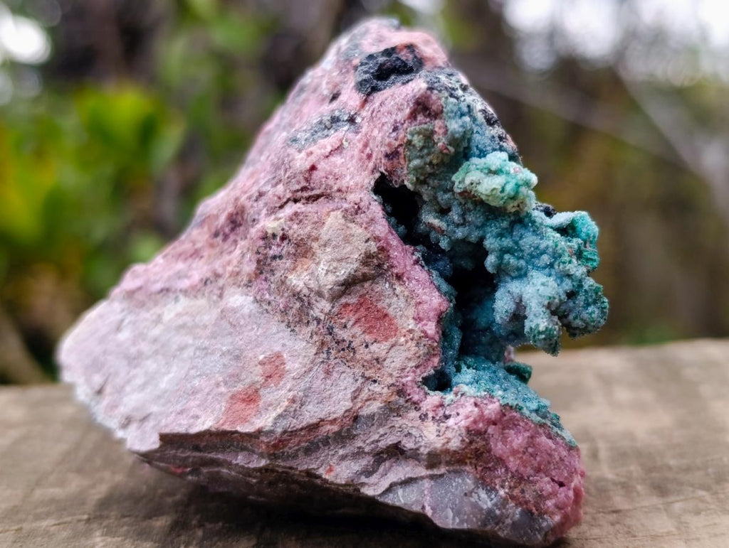 Natural Drusy Coated Chrysocolla and Salrose on Dolomite x 1 From Kakanda, Congo