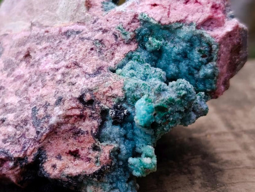 Natural Drusy Coated Chrysocolla and Salrose on Dolomite x 1 From Kakanda, Congo