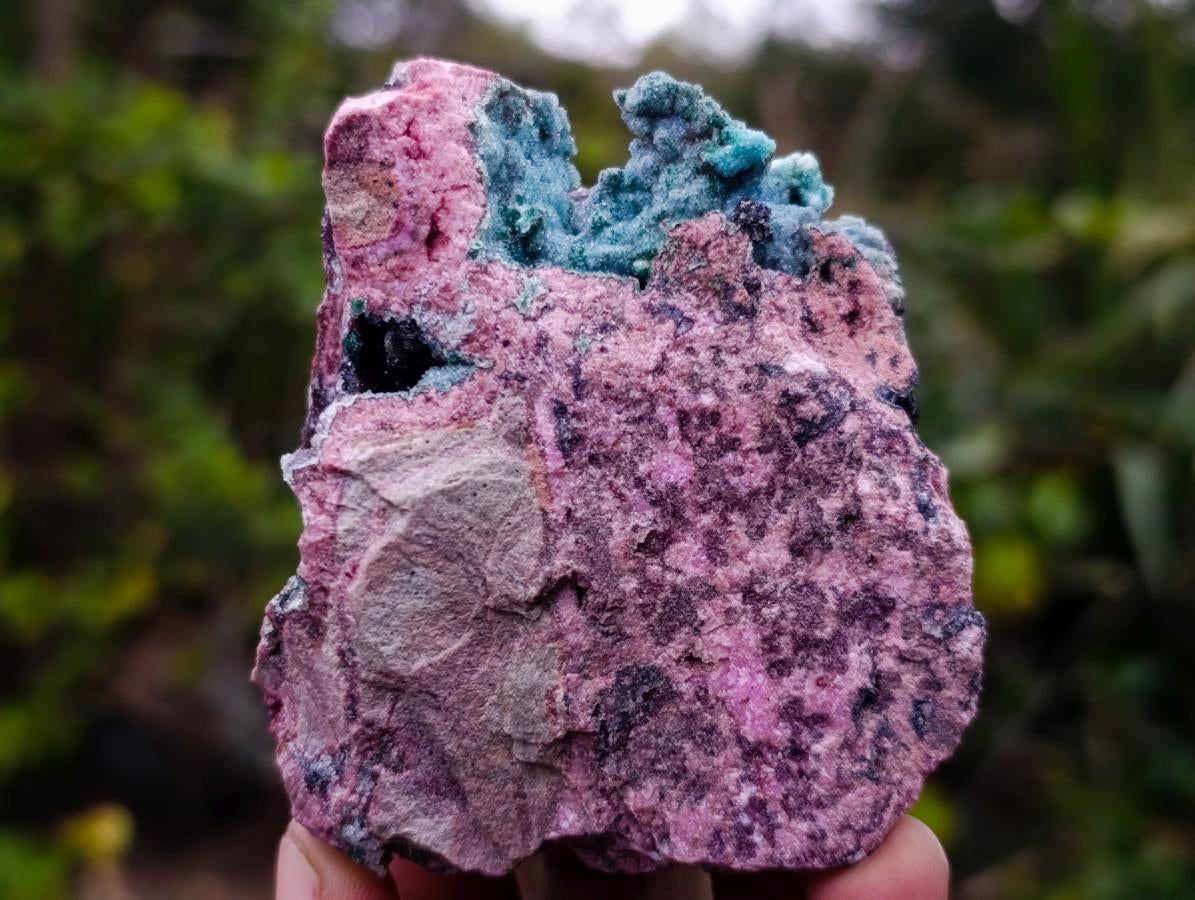 Natural Drusy Coated Chrysocolla and Salrose on Dolomite x 1 From Kakanda, Congo