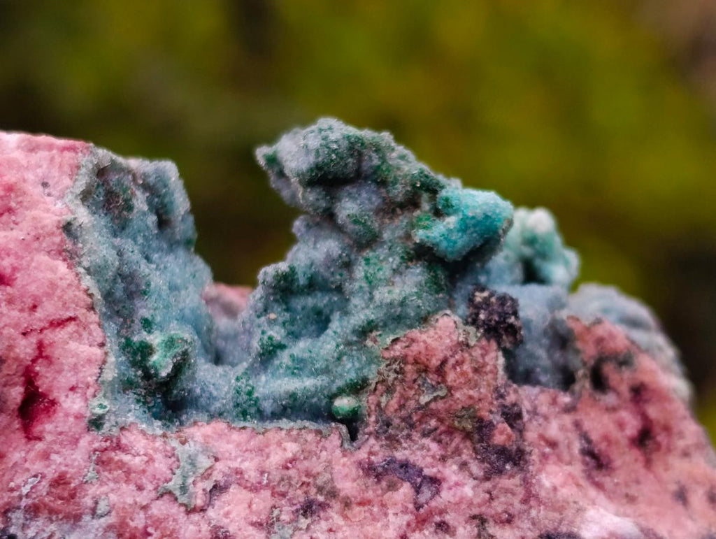 Natural Drusy Coated Chrysocolla and Salrose on Dolomite x 1 From Kakanda, Congo