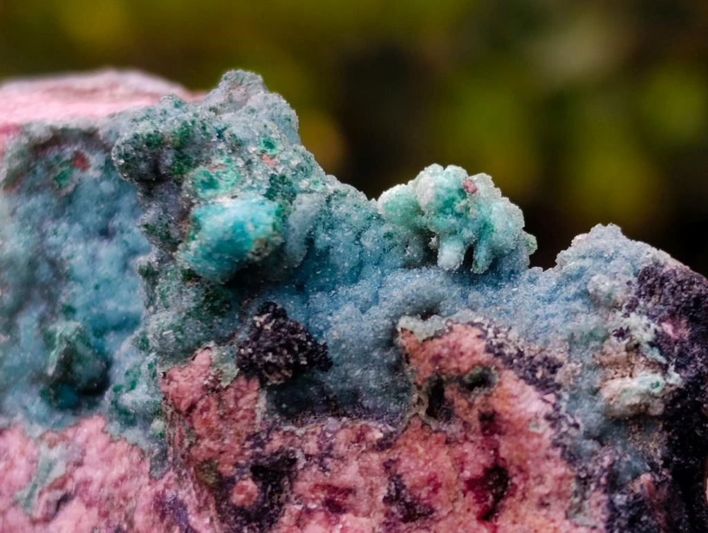 Natural Drusy Coated Chrysocolla and Salrose on Dolomite x 1 From Kakanda, Congo