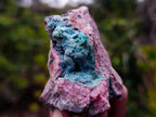 Natural Drusy Coated Chrysocolla and Salrose on Dolomite x 1 From Kakanda, Congo