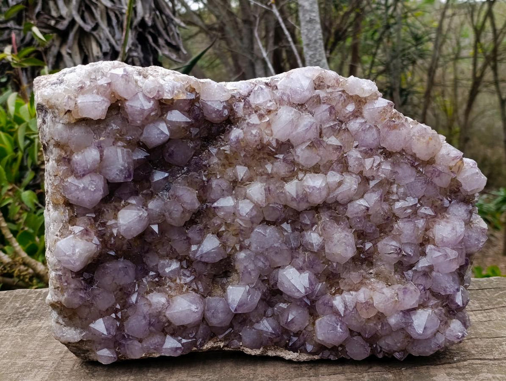 Natural XL Spirit Amethyst Crystal Plate Cluster x 1 From Boekenhouthoek, South Africa