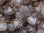 Natural XL Spirit Amethyst Crystal Plate Cluster x 1 From Boekenhouthoek, South Africa