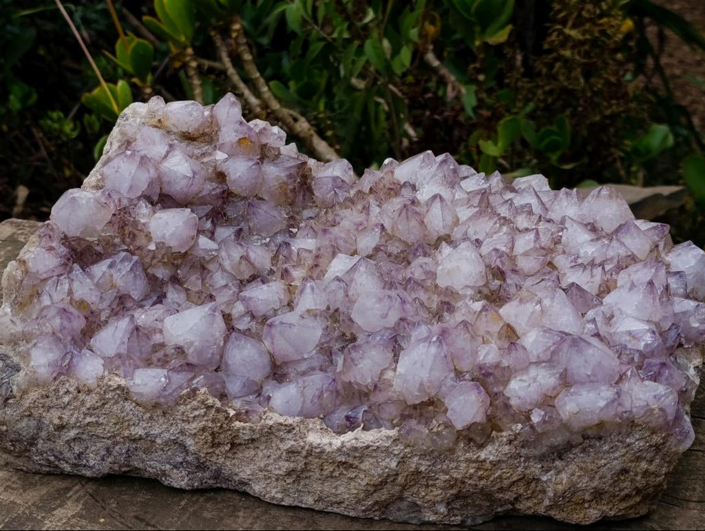Natural XL Spirit Amethyst Crystal Plate Cluster x 1 From Boekenhouthoek, South Africa