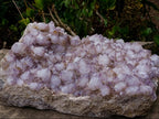 Natural XL Spirit Amethyst Crystal Plate Cluster x 1 From Boekenhouthoek, South Africa
