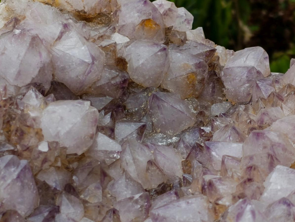 Natural XL Spirit Amethyst Crystal Plate Cluster x 1 From Boekenhouthoek, South Africa