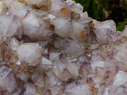 Natural XL Spirit Amethyst Crystal Plate Cluster x 1 From Boekenhouthoek, South Africa