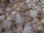 Natural XL Spirit Amethyst Crystal Plate Cluster x 1 From Boekenhouthoek, South Africa