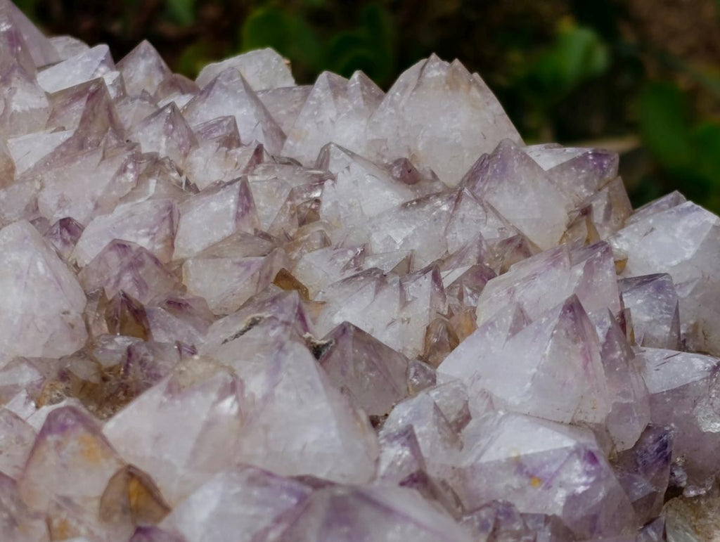 Natural XL Spirit Amethyst Crystal Plate Cluster x 1 From Boekenhouthoek, South Africa