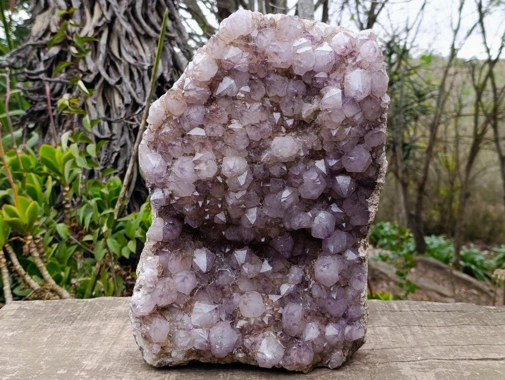 Natural XL Spirit Amethyst Crystal Plate Cluster x 1 From Boekenhouthoek, South Africa