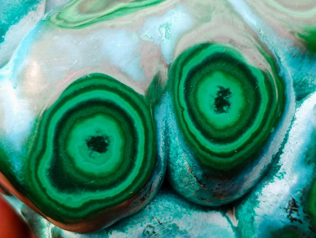 Polished "Eye" Ring Patterned Malacolla Free Form x 1 From Kulukuluku, Congo