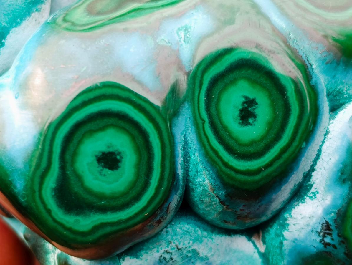 Polished "Eye" Ring Patterned Malacolla Free Form x 1 From Kulukuluku, Congo