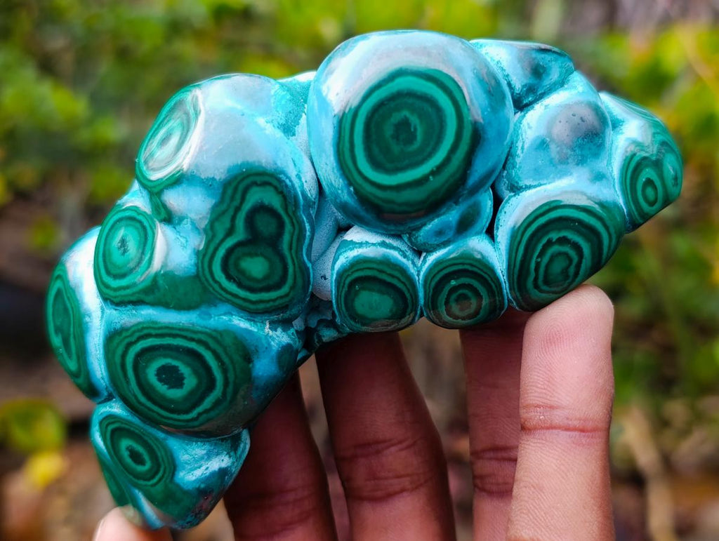 Polished "Eye" Ring Patterned Malacolla Free Form x 1 From Kulukuluku, Congo