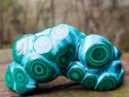 Polished "Eye" Ring Patterned Malacolla Free Form x 1 From Kulukuluku, Congo