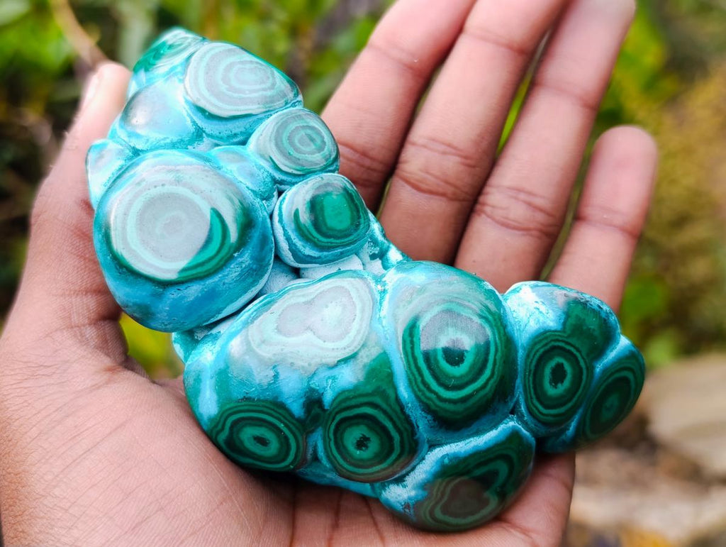 Polished "Eye" Ring Patterned Malacolla Free Form x 1 From Kulukuluku, Congo