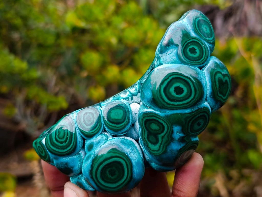 Polished "Eye" Ring Patterned Malacolla Free Form x 1 From Kulukuluku, Congo