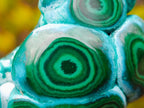 Polished "Eye" Ring Patterned Malacolla Free Form x 1 From Kulukuluku, Congo