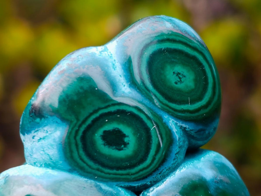 Polished "Eye" Ring Patterned Malacolla Free Form x 1 From Kulukuluku, Congo