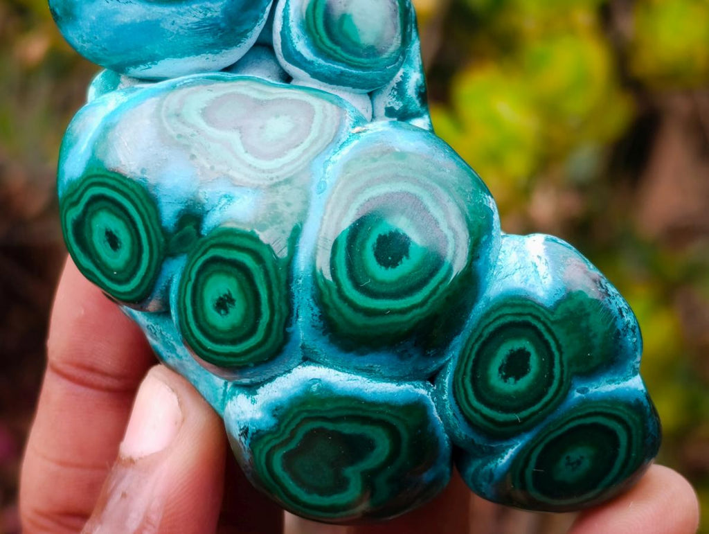 Polished "Eye" Ring Patterned Malacolla Free Form x 1 From Kulukuluku, Congo