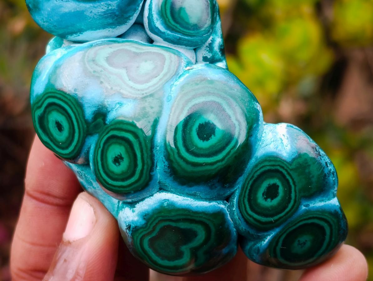 Polished "Eye" Ring Patterned Malacolla Free Form x 1 From Kulukuluku, Congo