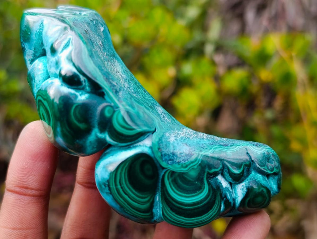 Polished "Eye" Ring Patterned Malacolla Free Form x 1 From Kulukuluku, Congo