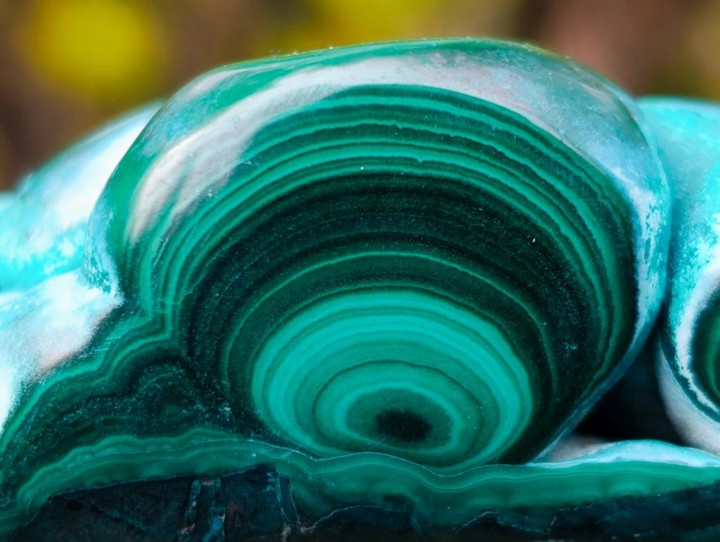 Polished "Eye" Ring Patterned Malacolla Free Form x 1 From Kulukuluku, Congo