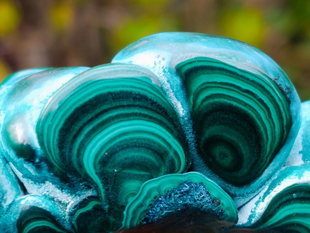 Polished "Eye" Ring Patterned Malacolla Free Form x 1 From Kulukuluku, Congo