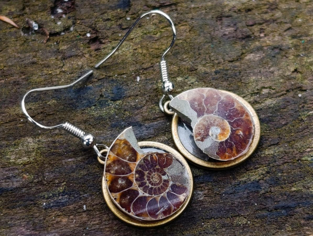 Hand Made Cleoniceras Ammonite Fossil Jewellery Earrings - Sold Per Pair - From Tulear, Madagascar