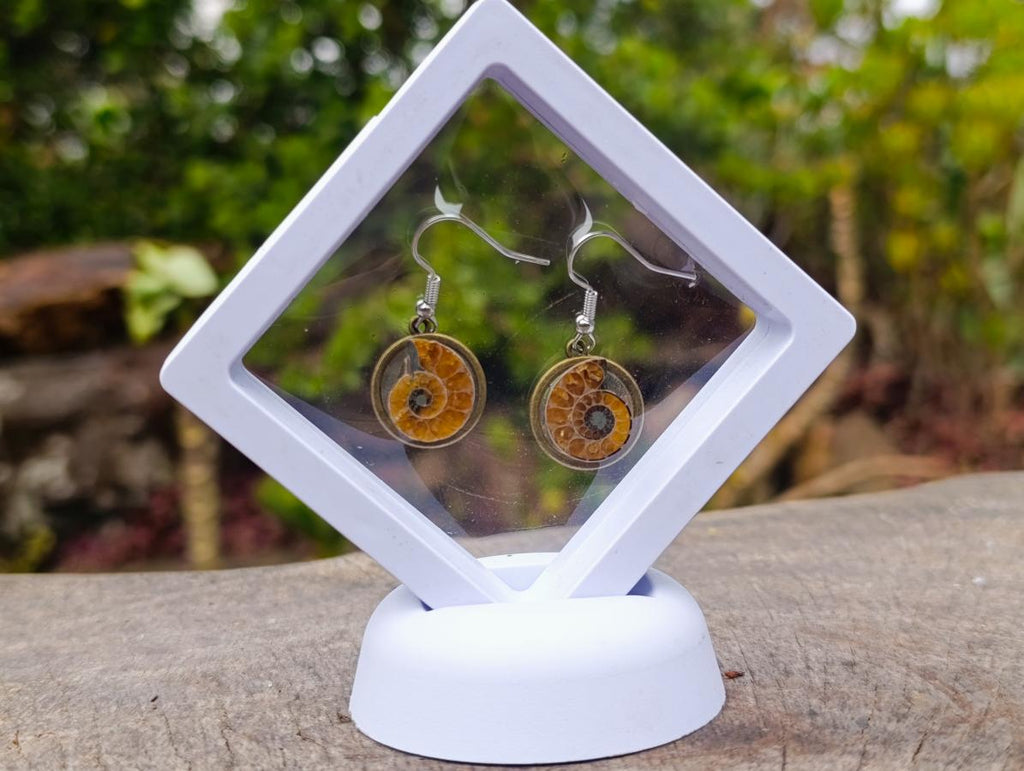 Hand Made Cleoniceras Ammonite Fossil Jewellery Earrings - Sold Per Pair - From Tulear, Madagascar