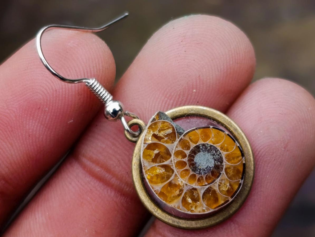 Hand Made Cleoniceras Ammonite Fossil Jewellery Earrings - Sold Per Pair - From Tulear, Madagascar