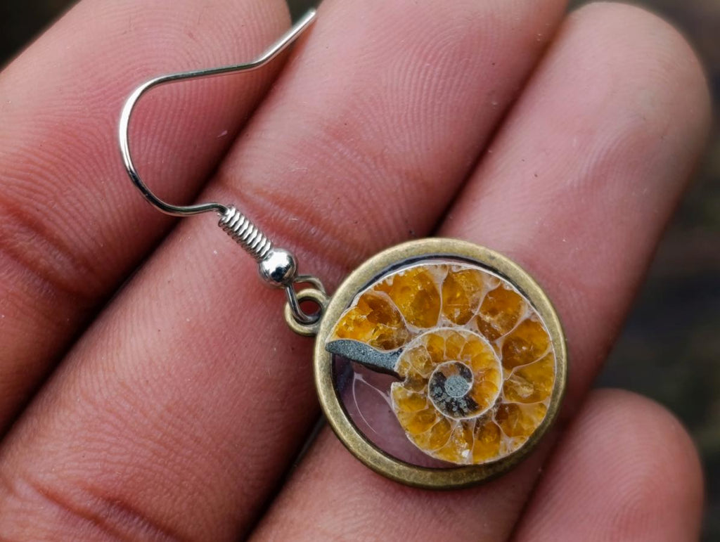 Hand Made Cleoniceras Ammonite Fossil Jewellery Earrings - Sold Per Pair - From Tulear, Madagascar