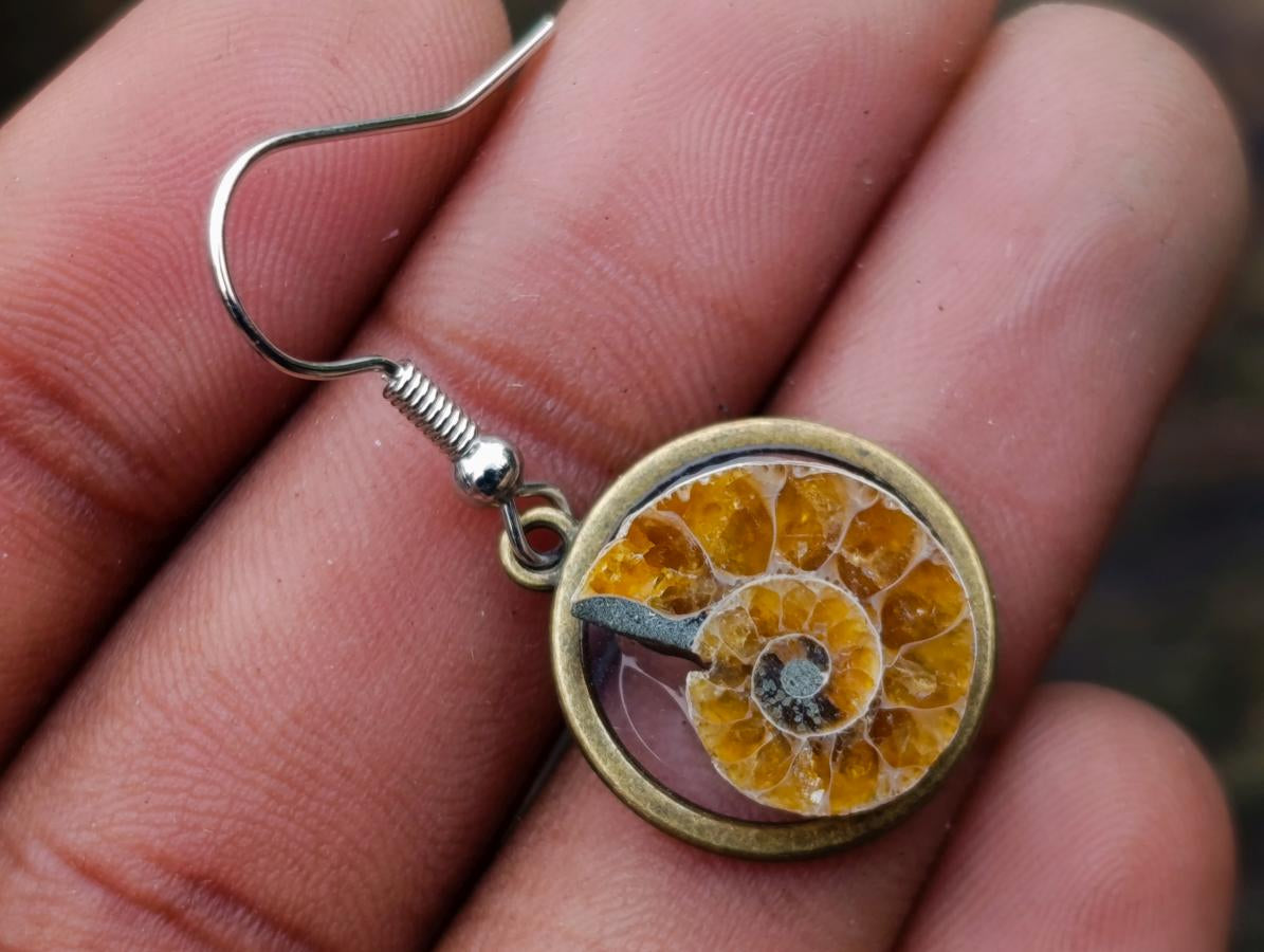 Hand Made Cleoniceras Ammonite Fossil Jewellery Earrings - Sold Per Pair - From Tulear, Madagascar