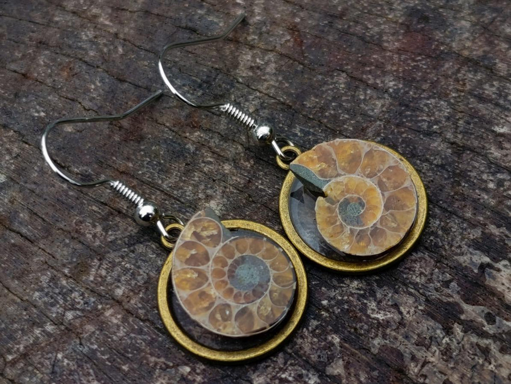 Hand Made Cleoniceras Ammonite Fossil Jewellery Earrings - Sold Per Pair - From Tulear, Madagascar